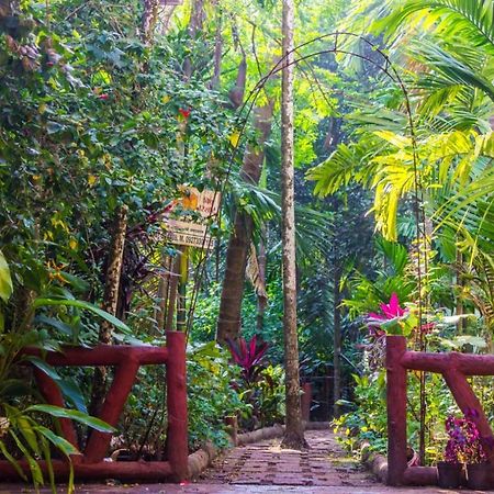 Maitreya Beach Resort Diveagar Exterior photo